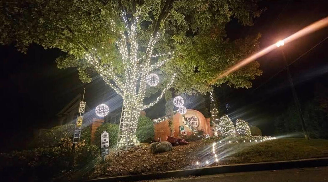 Neighborhood entrance with wrapped trees, hanging light spheres and lit shrubs